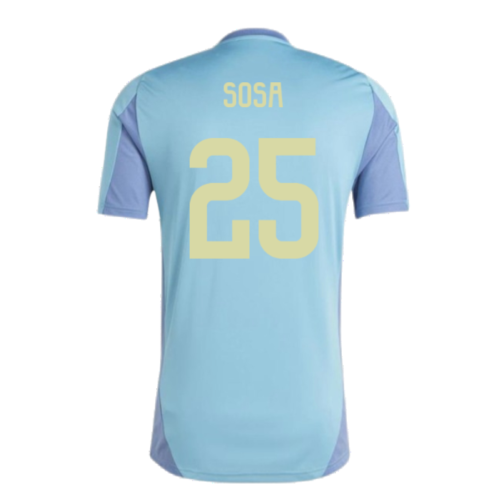 2024-2025 Ajax Training Jersey (Tactile Steel) (Sosa 25)