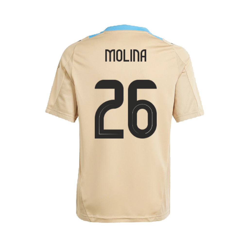 2024-2025 Argentina Training Jersey (Hazy Beige) (MOLINA 26)