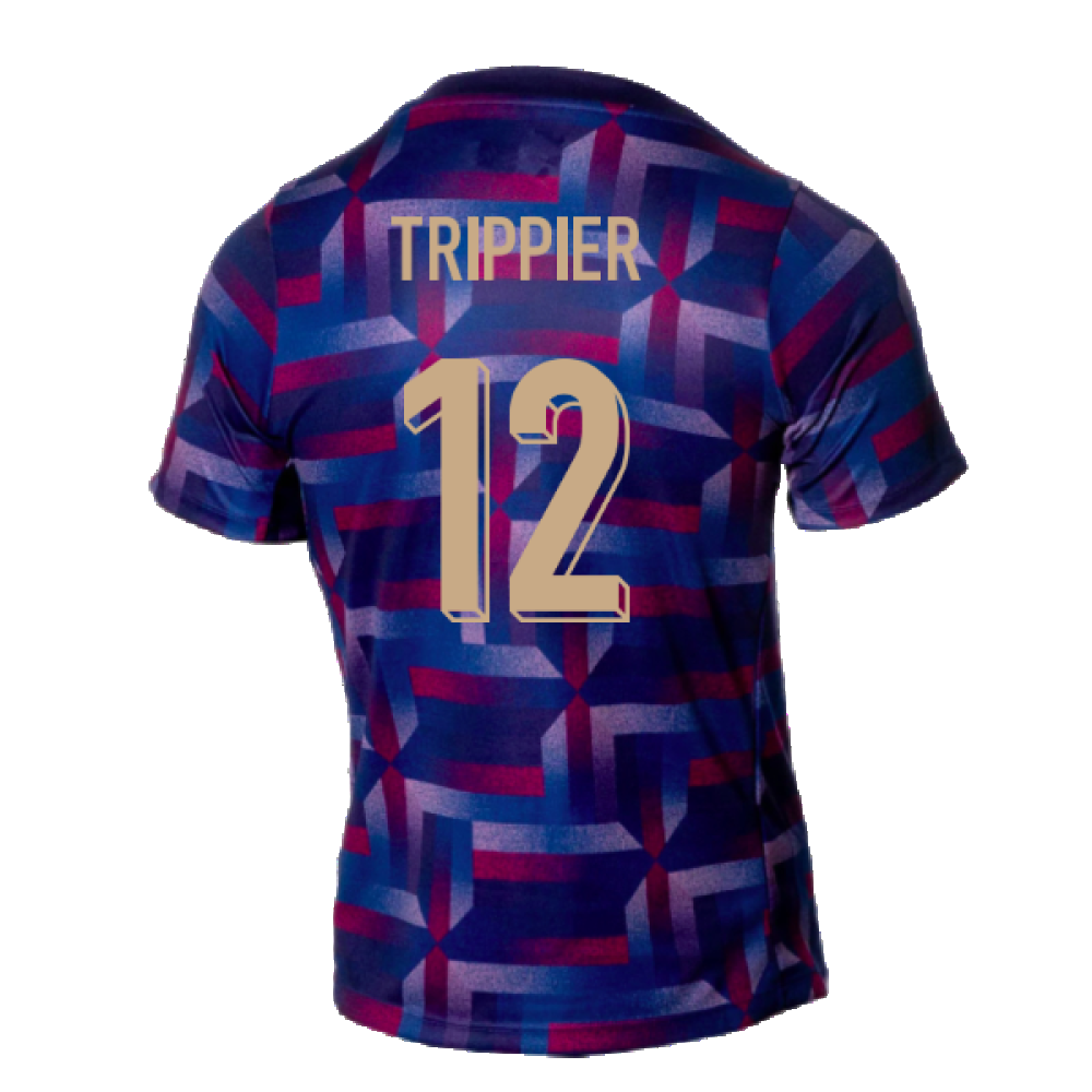 2024-2025 England Academy Pro Pre-Match Shirt (Purple Ink) (Trippier 12)