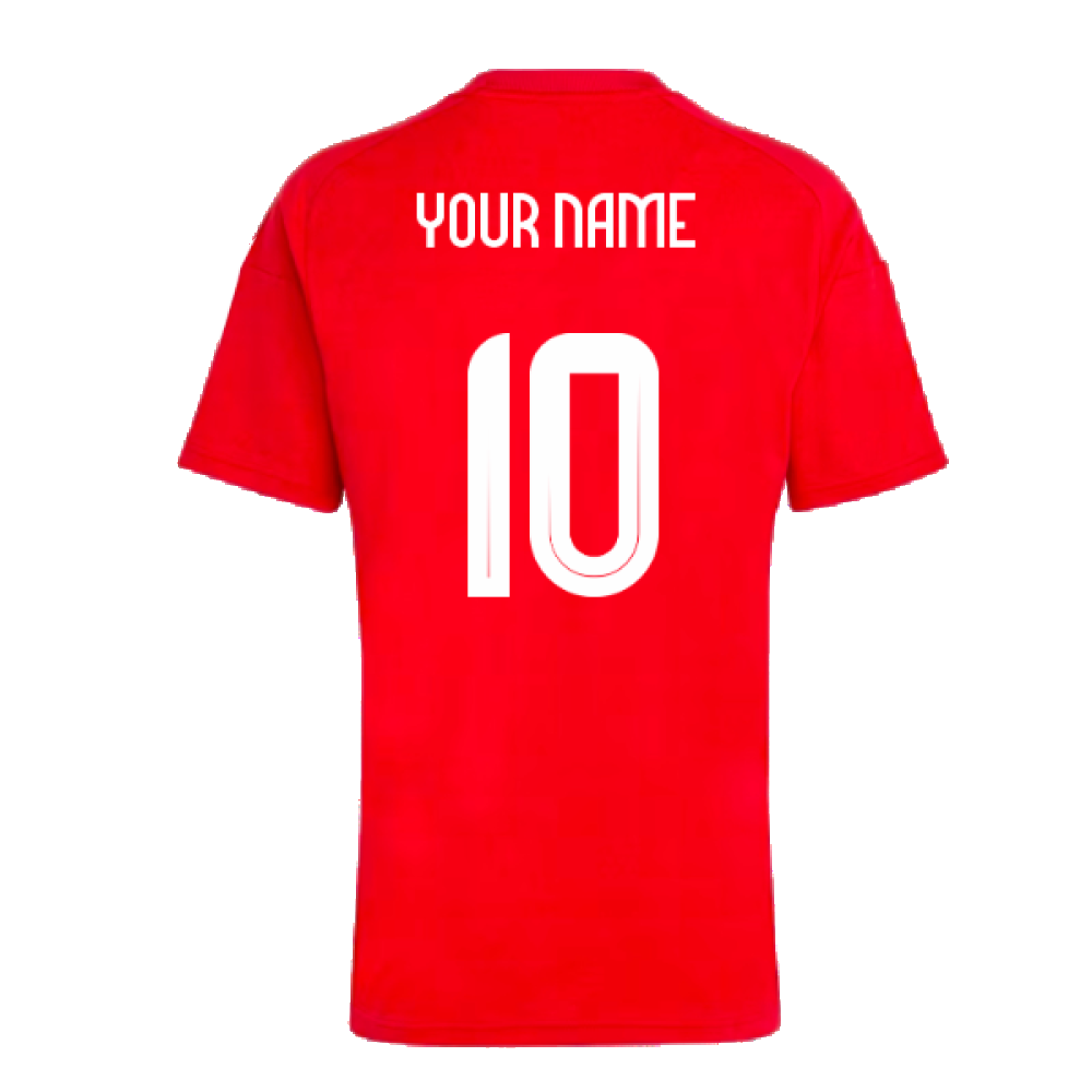 2024-2025 Hungary Home FAN Shirt (Your Name)