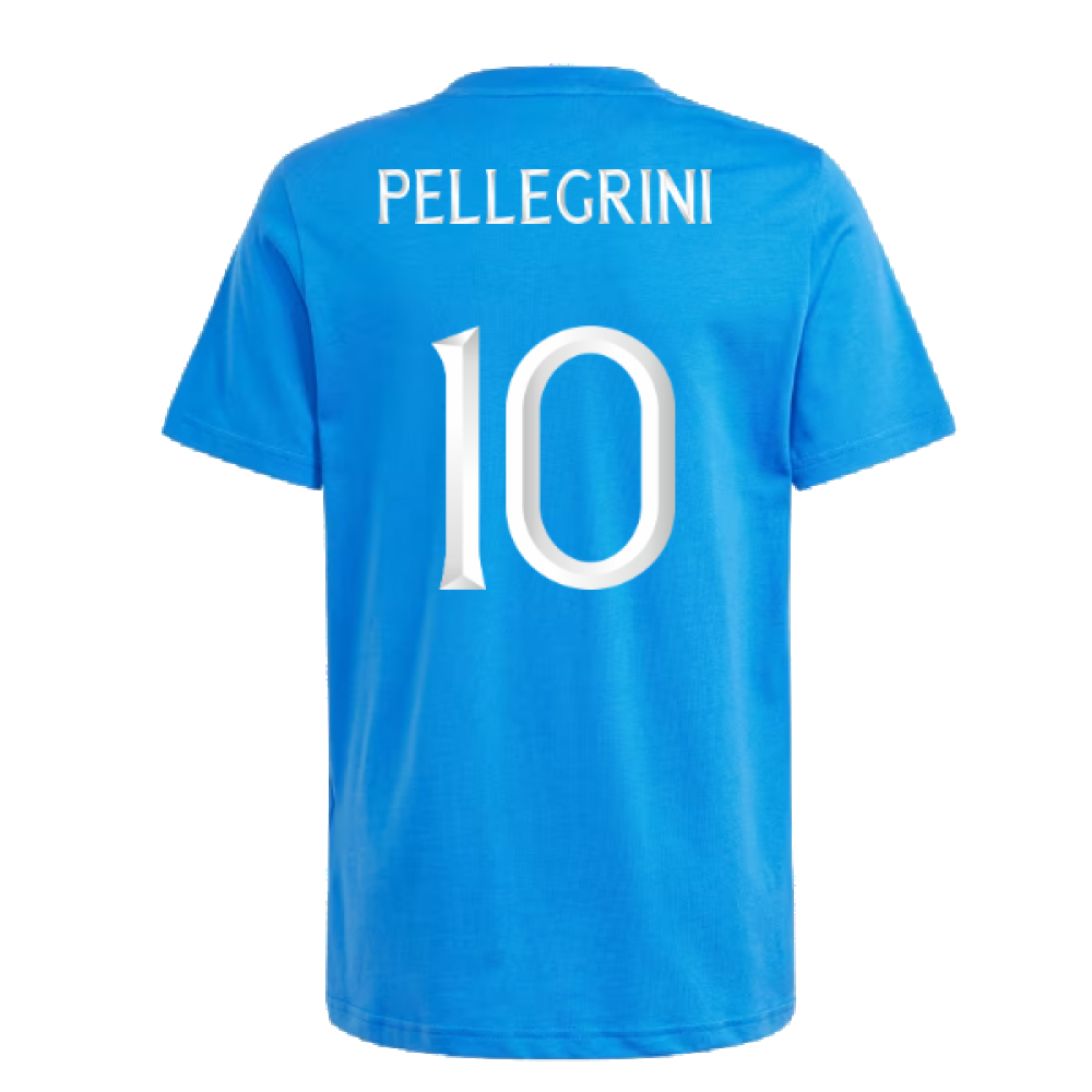 2024-2025 Italy DNA Tee (Blue) - Kids (PELLEGRINI 10)