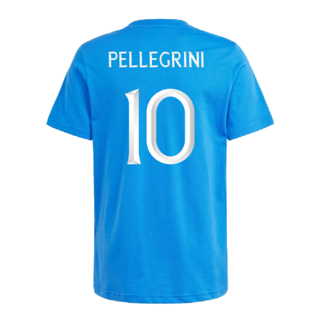 2024-2025 Italy DNA Tee (Blue) - Kids (PELLEGRINI 10)