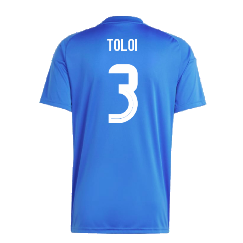 2024-2025 Italy Home Fan Jersey (TOLOI 3)