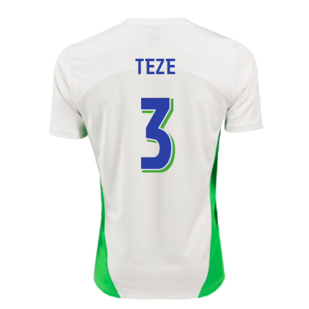 2024-2025 PSV Eindhoven Training Shirt (White) (Teze 3)