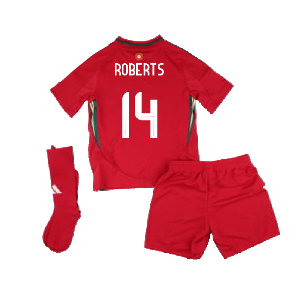 2024-2025 Wales Home Mini Kit (Roberts 14)