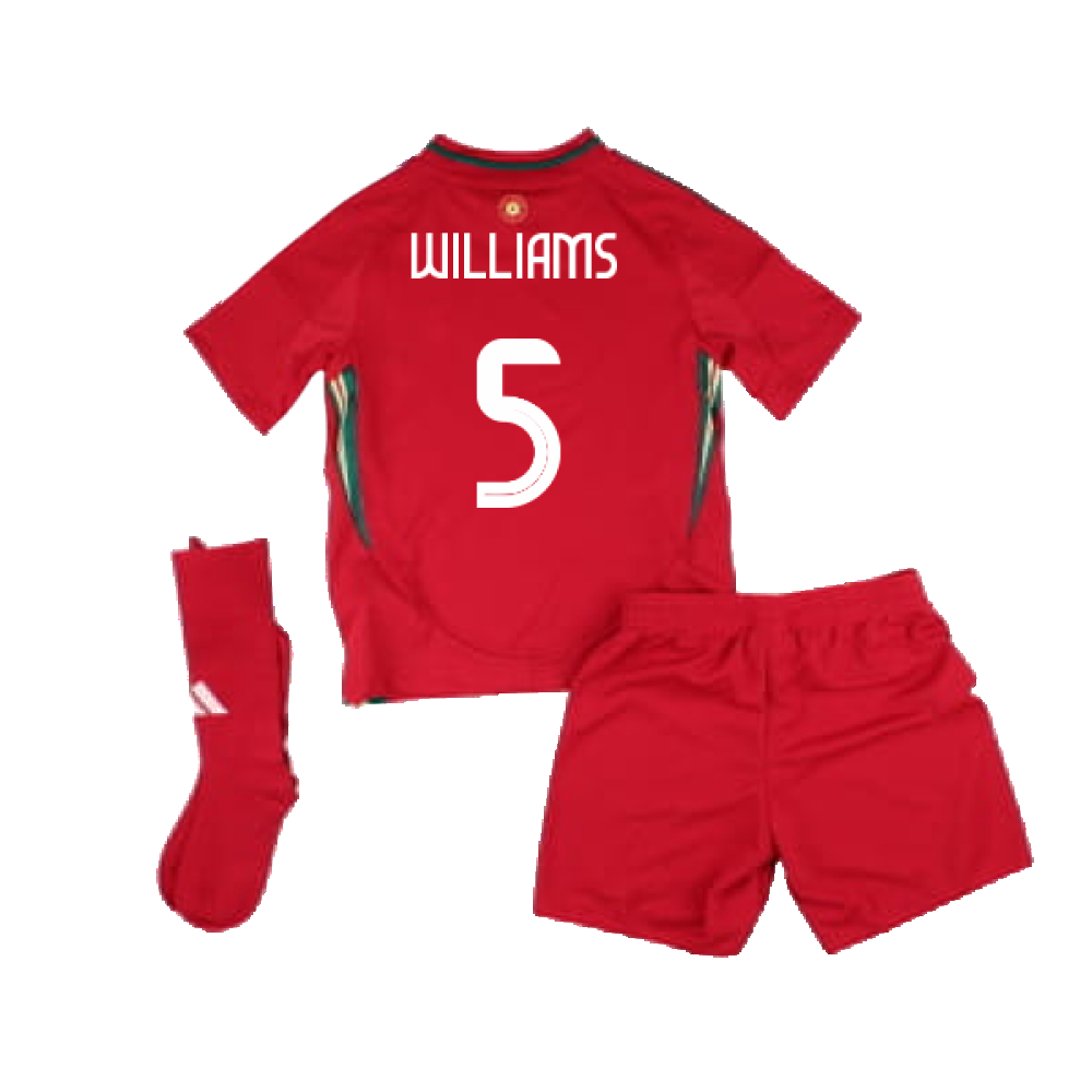 2024-2025 Wales Home Mini Kit (Williams 5)