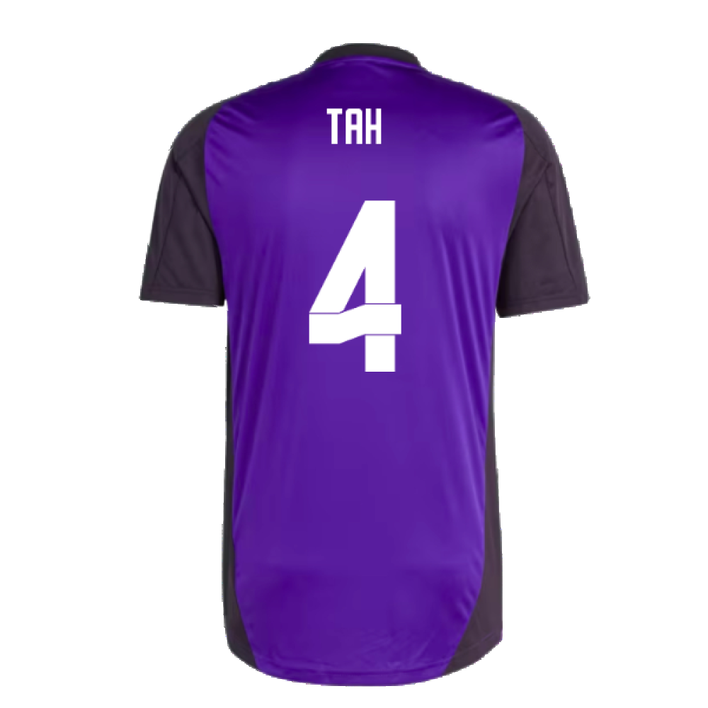 2024-2025 Germany Training Jersey (Purple) (Tah 4)