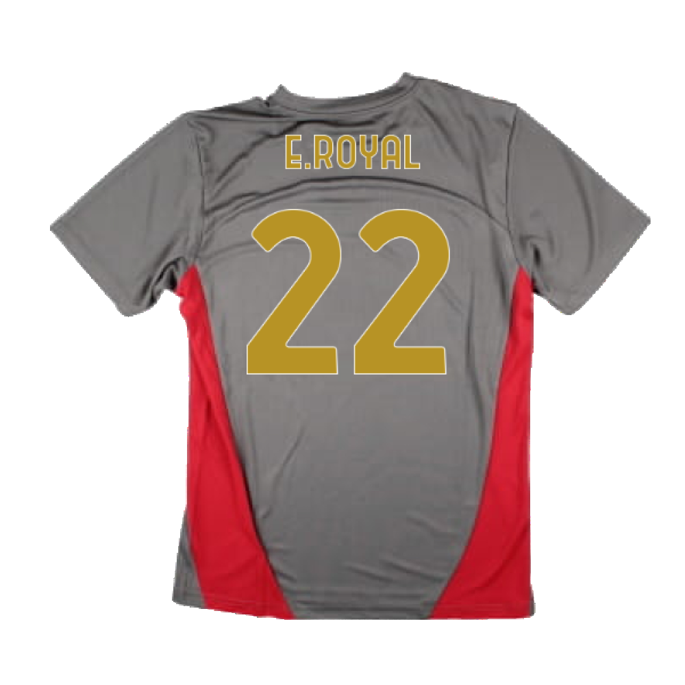 2024-2025 AC Milan Training Shirt (Grey) (E.Royal 22)