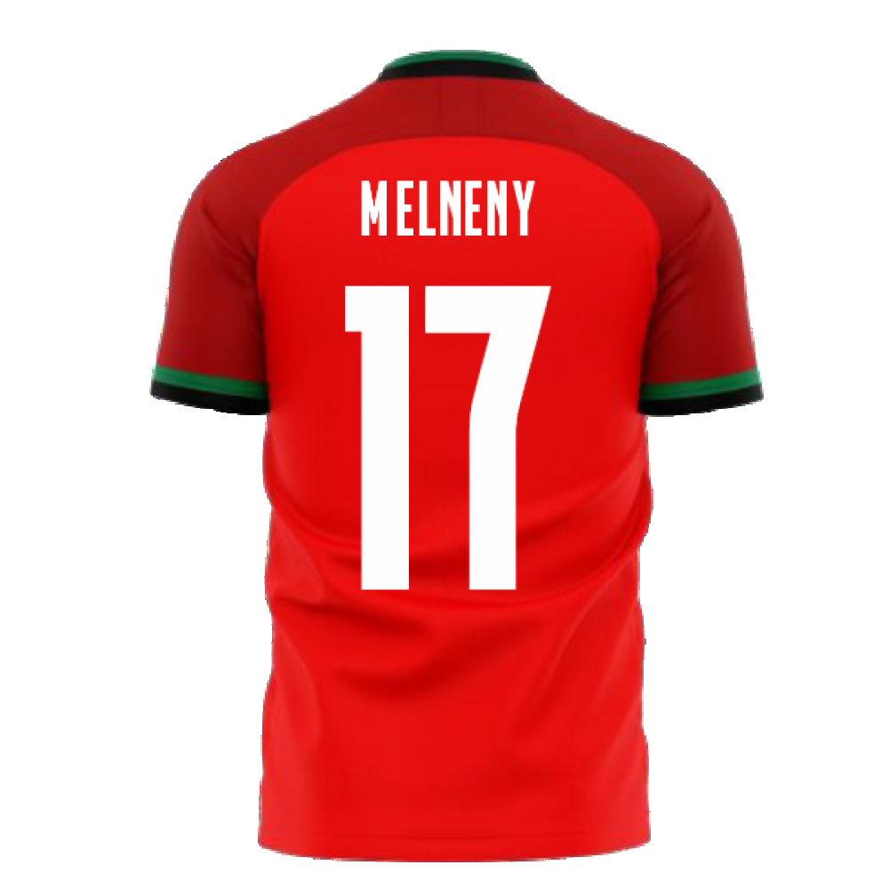 Egypt 2024-2025 Home Concept Football Kit (Libero) (M.ELNENY 17)