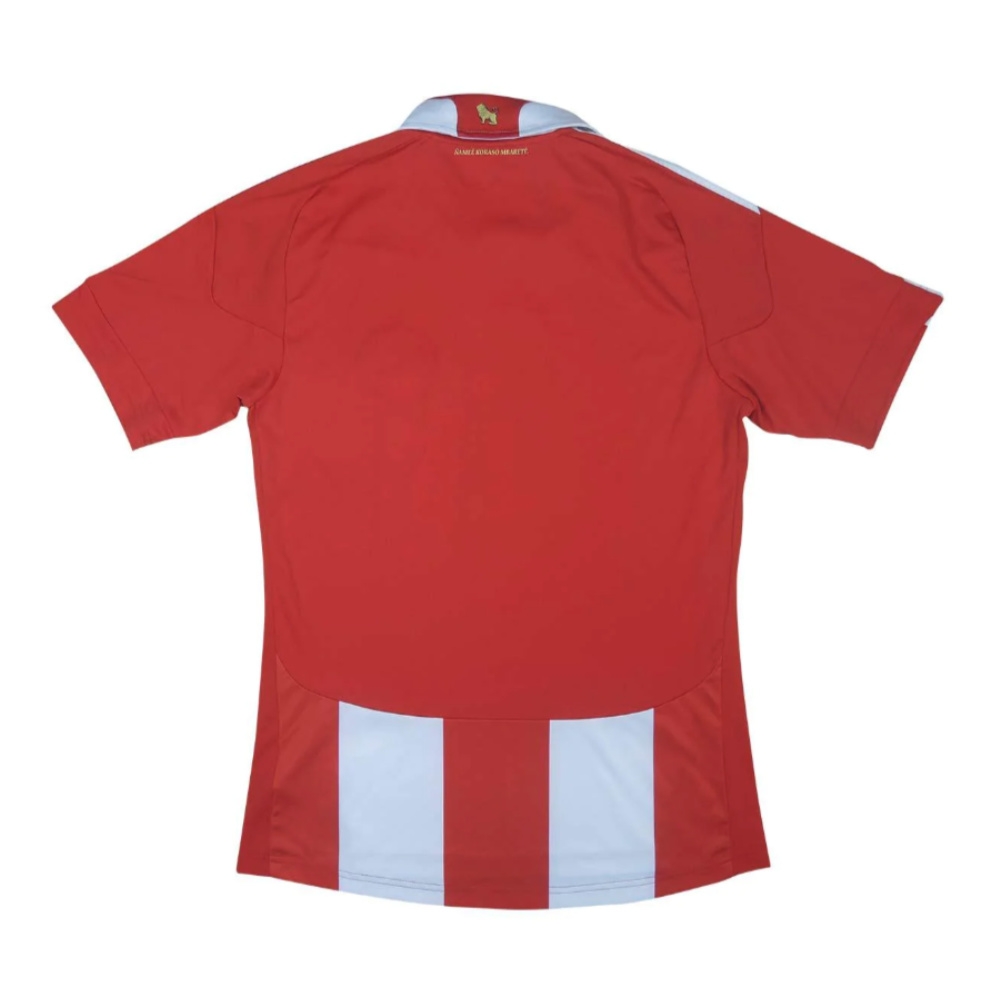 2010-2011 Paraguay Home Shirt (Your Name)