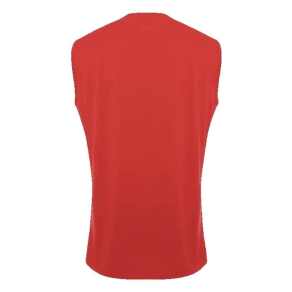 2018-2019 Liverpool Elite Training Vest (Red) (Your Name)