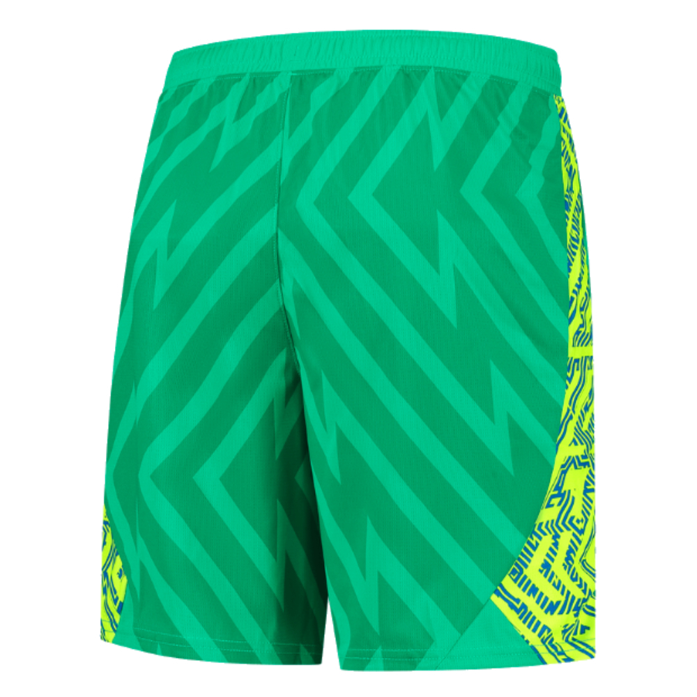 2023-2024 Man City Home Goalkeeper Shorts (Green)