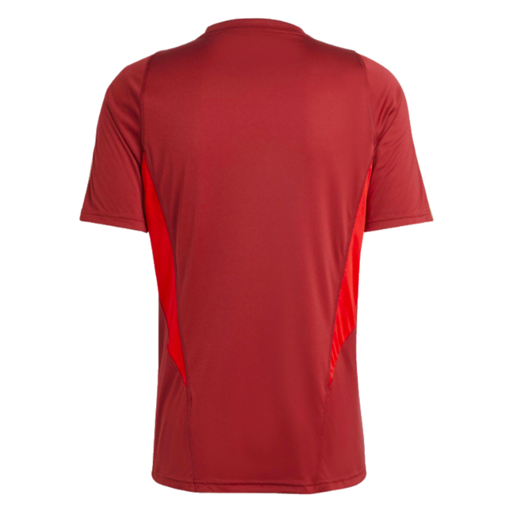 2023-2024 Arsenal Training Jersey (Red) (Bergkamp 10)