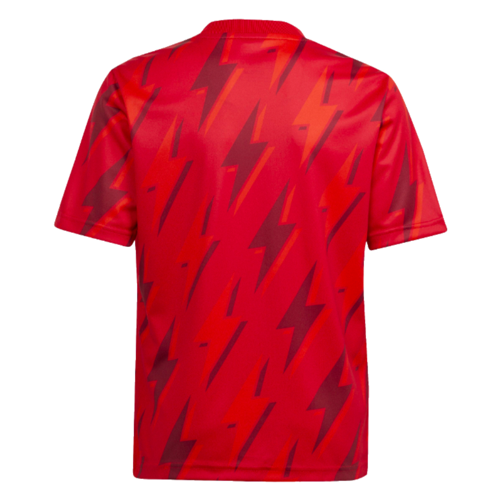 2023-2024 Arsenal Pre-Match Shirt (Red) - Kids (S Cazorla 19)