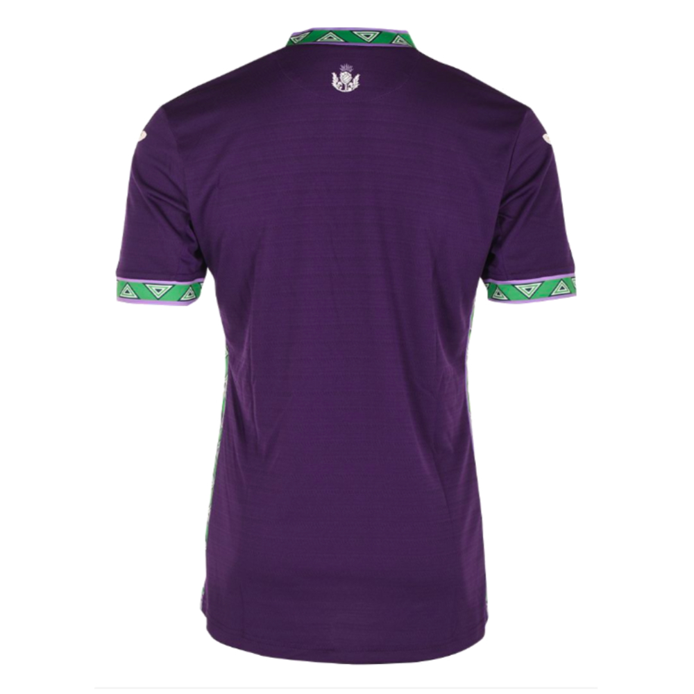 2023-2024 Hibernian Away Shirt (Hanlon 4)