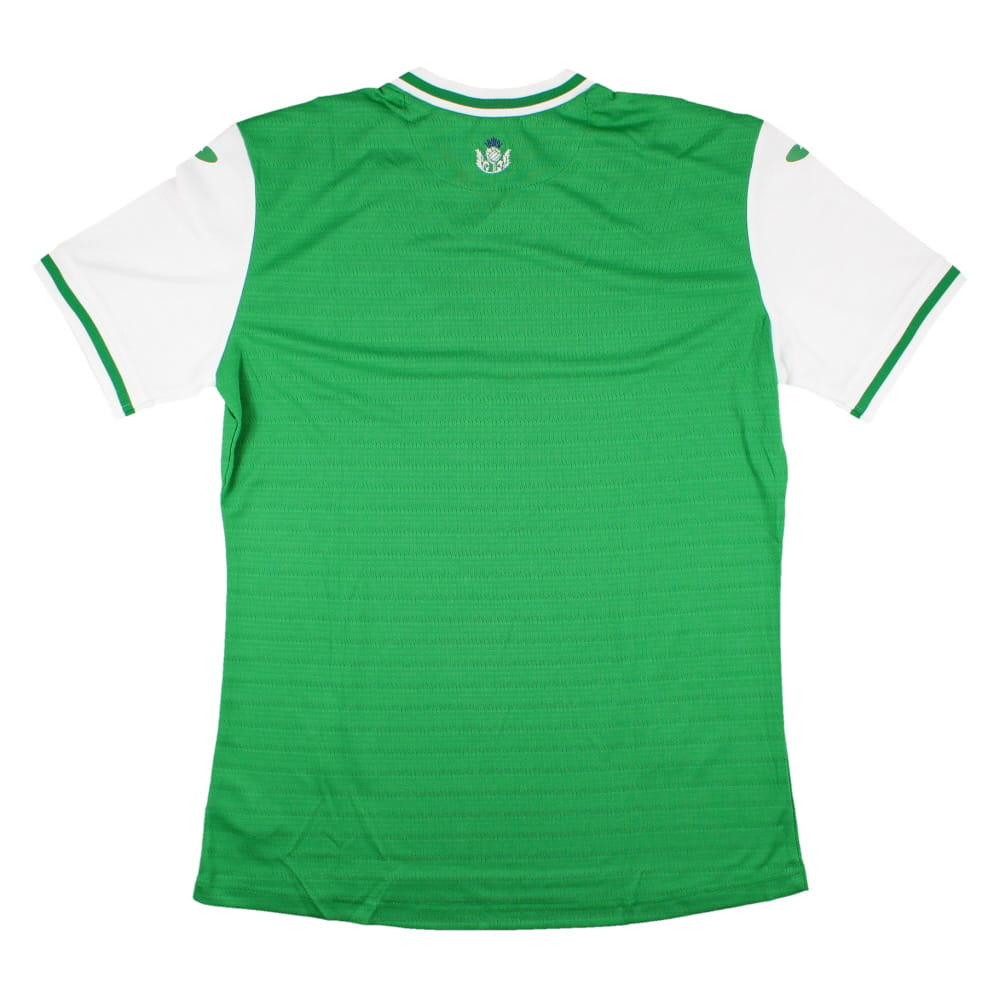 2023-2024 Hibernian Home Shirt (Levitt 6)