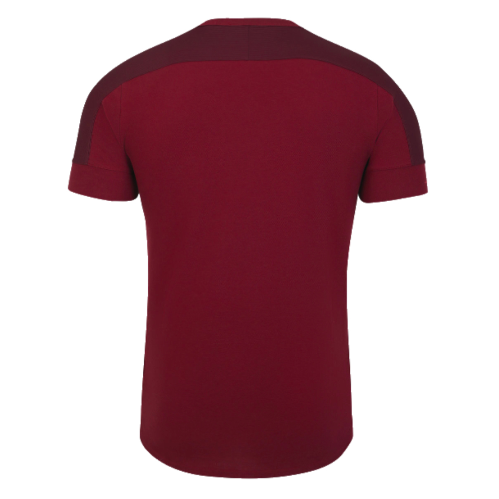 2023-2024 England Rugby Presentation T-Shirt (Tibetan Red) (Vunipola 8)