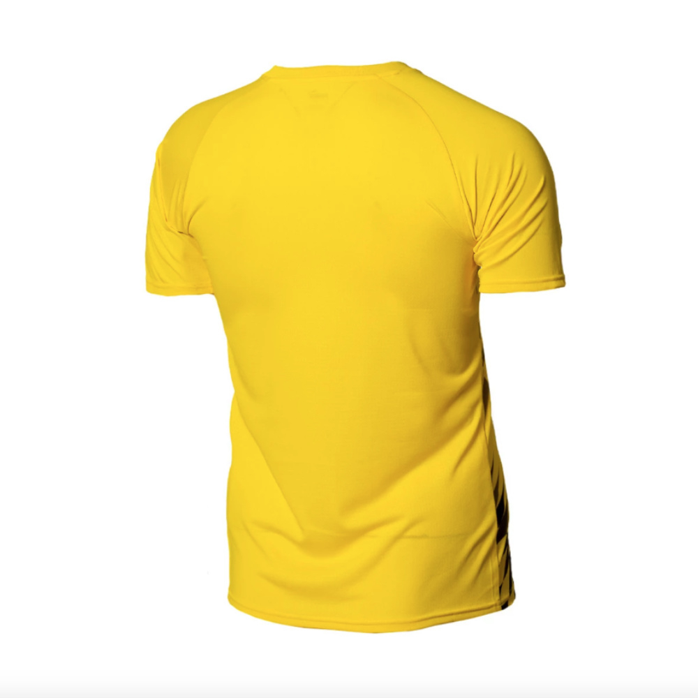 2023-2024 Borussia Dortmund Pre-Match Shirt (Cyber Yellow)