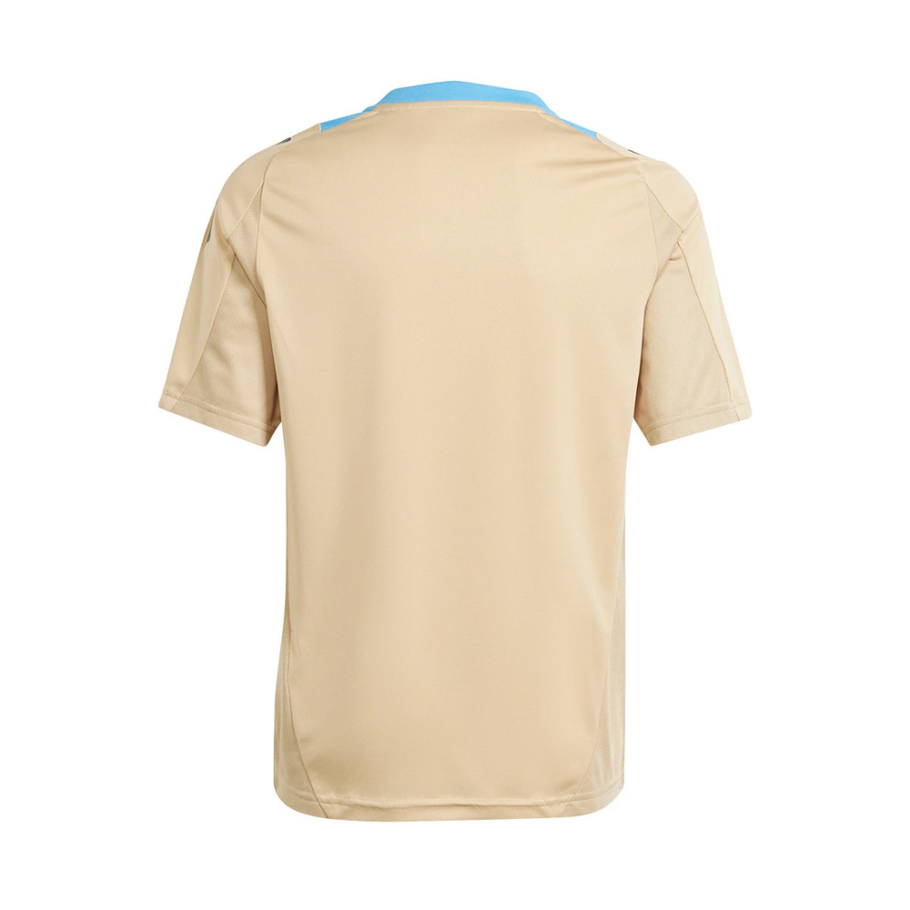 2024-2025 Argentina Training Jersey (Hazy Beige) (J.ALVAREZ 9)