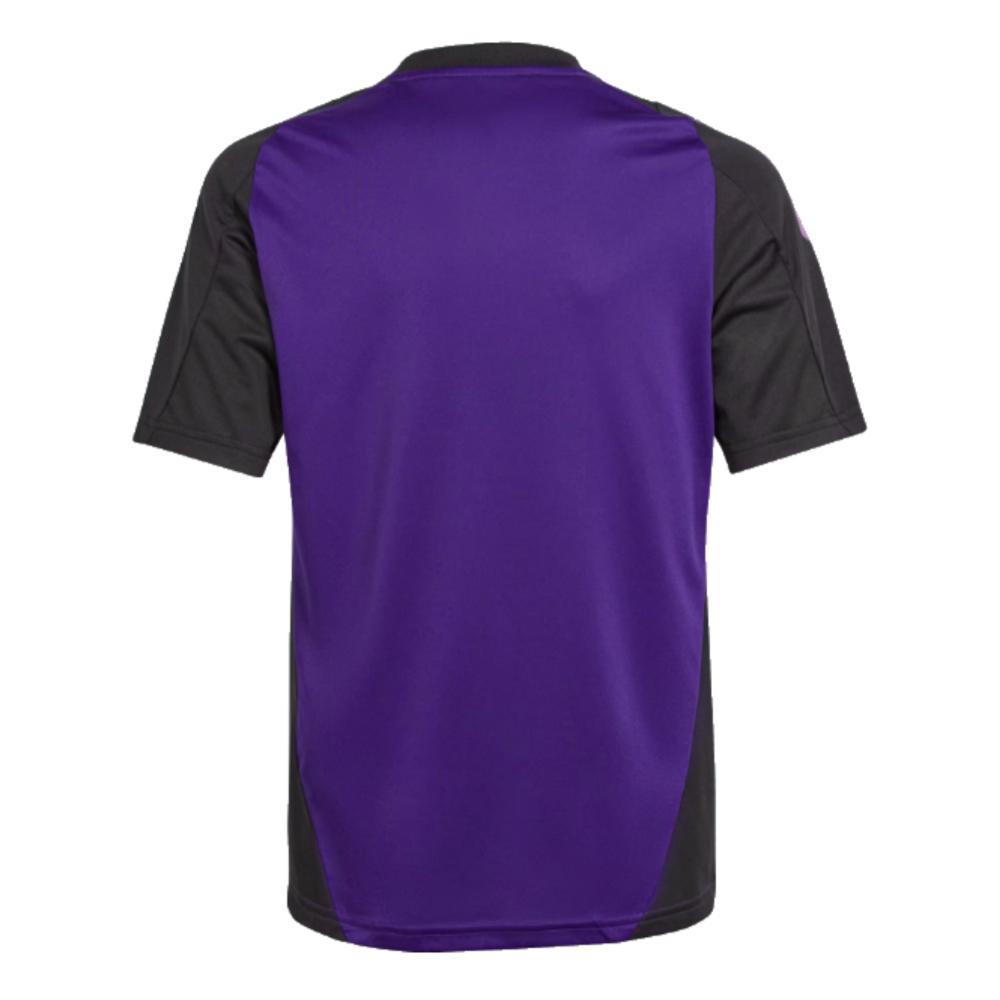 2024-2025 Germany Training Jersey (Purple) - Kids (Anton 16)