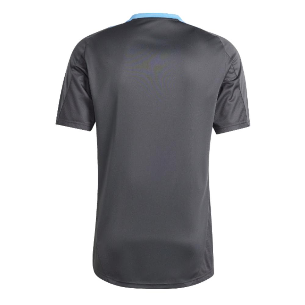 2024-2025 Argentina Training Jersey (Carbon) (ACUNA 8)