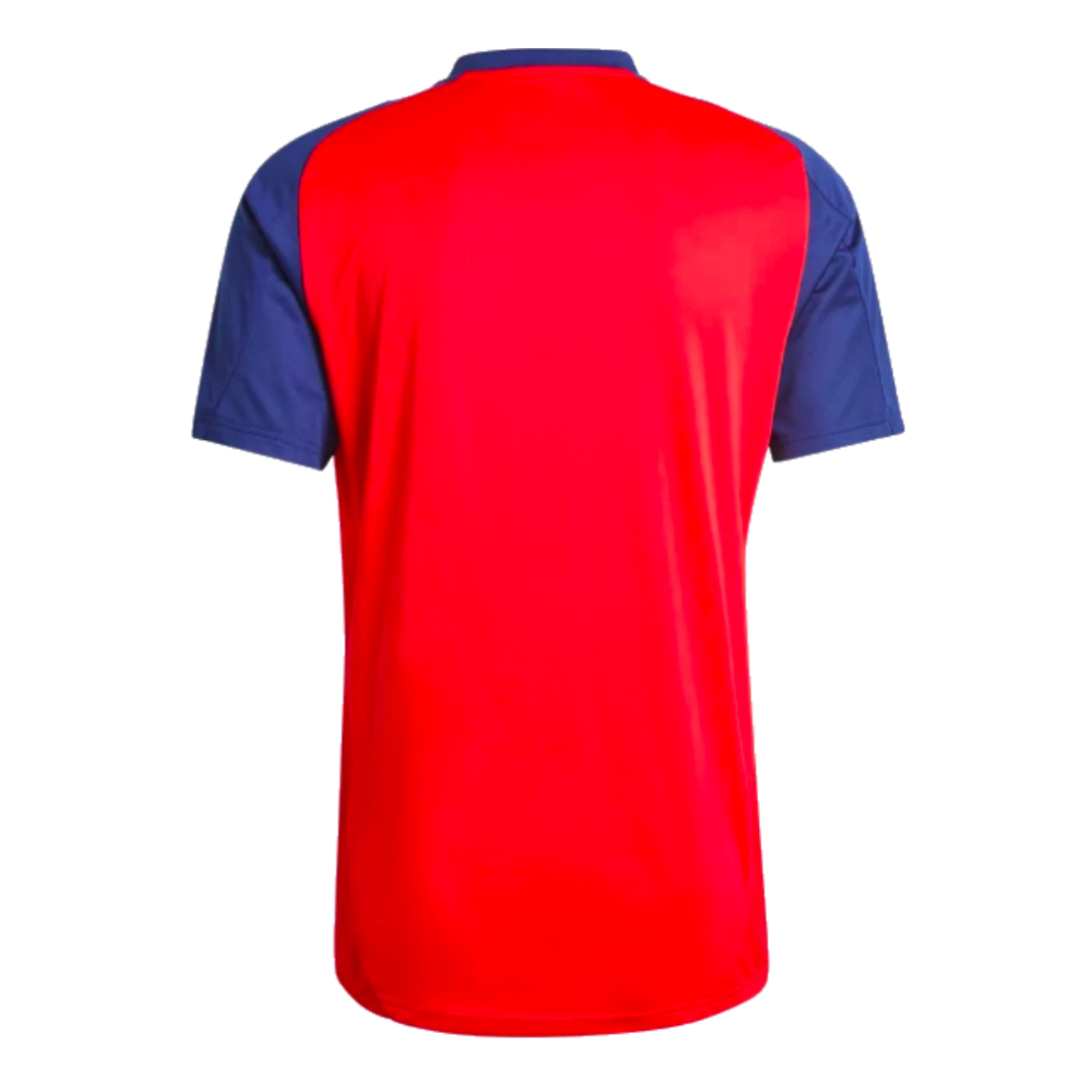 2024-2025 Spain Training Jersey (Red) (Merino 6)