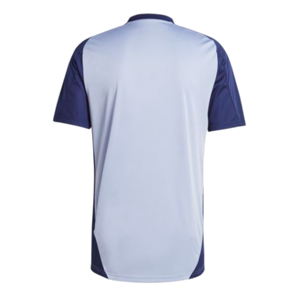 2024-2025 Sweden Training Jersey (Blue) (IBRAHIMOVIC 10)