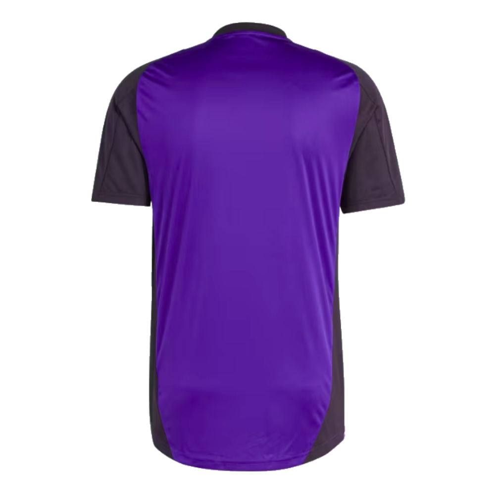 2024-2025 Germany Training Jersey (Purple) (Lahm 16)