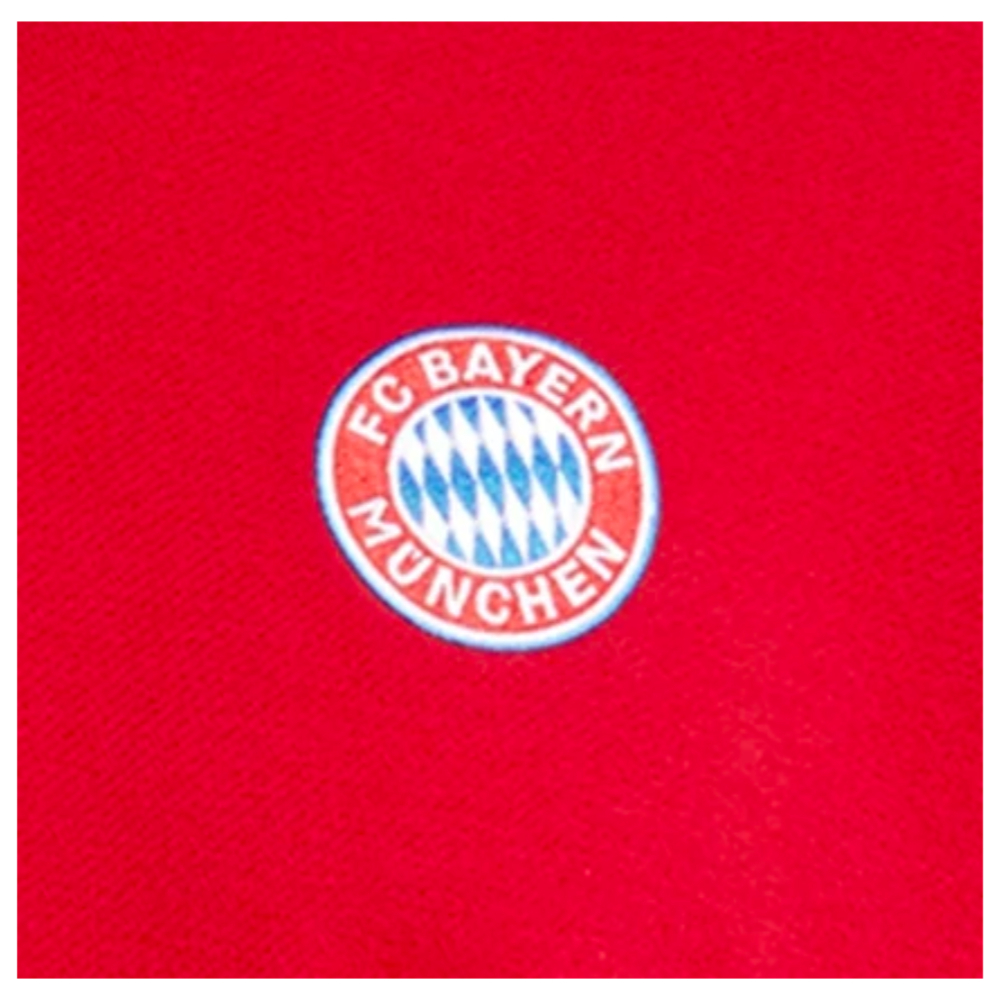 2024-2025 Bayern Munich DNA Sweat Top (Red)