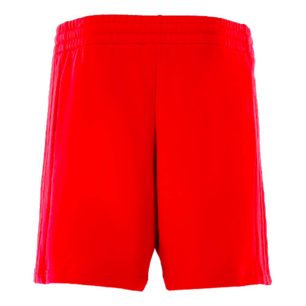 2024-2025 Bayern Munich DNA Shorts (Red)