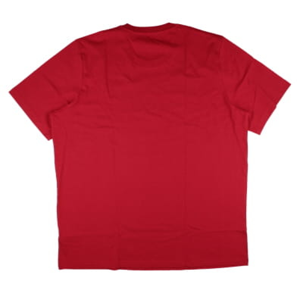 2024-2025 Bayern Munich DNA Graphic Tee (Red)