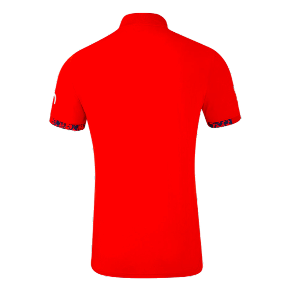 2024 England Cricket T20 World Cup Mens Shirt (Your Name)