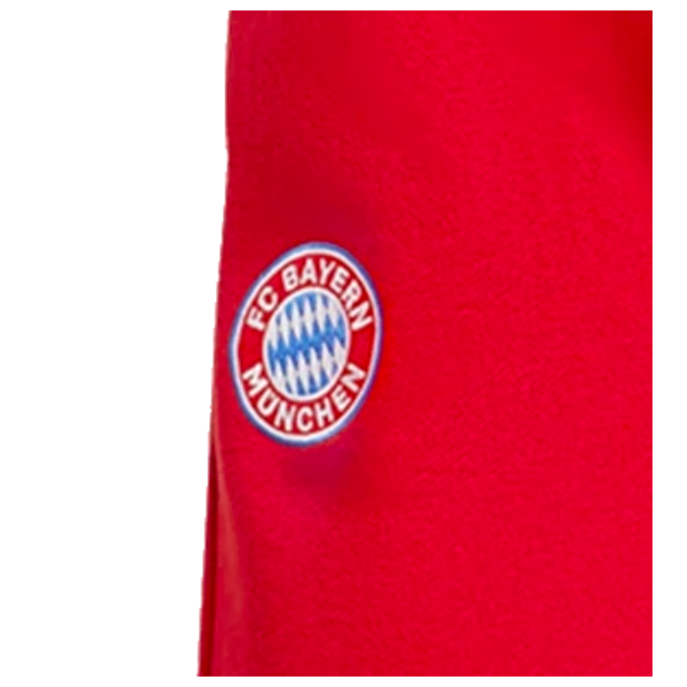 2024-2025 Bayern Munich DNA Pants (Red)