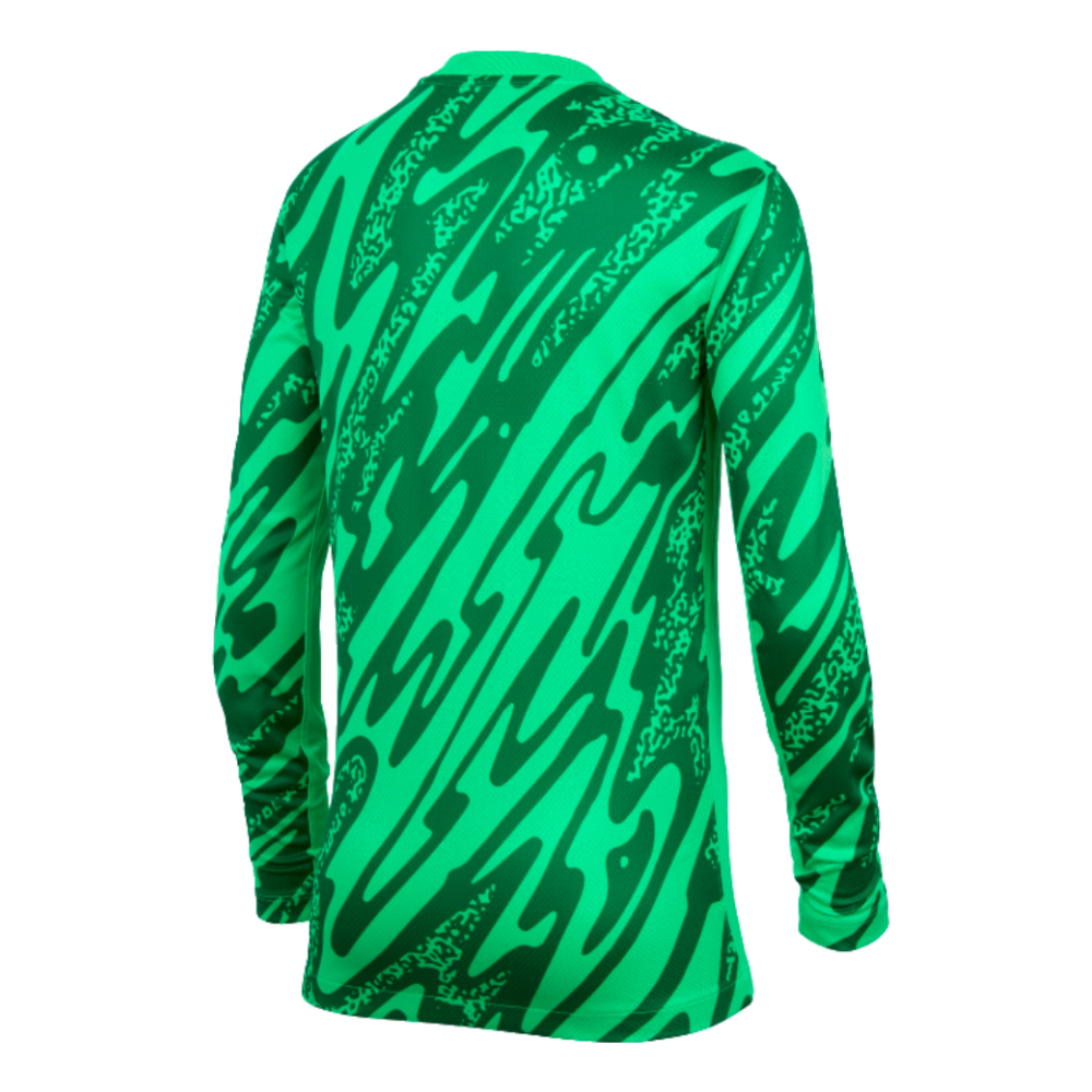 2024-2025 Netherlands Home Goalkeeper Shirt (Green) - Kids (Your Name)