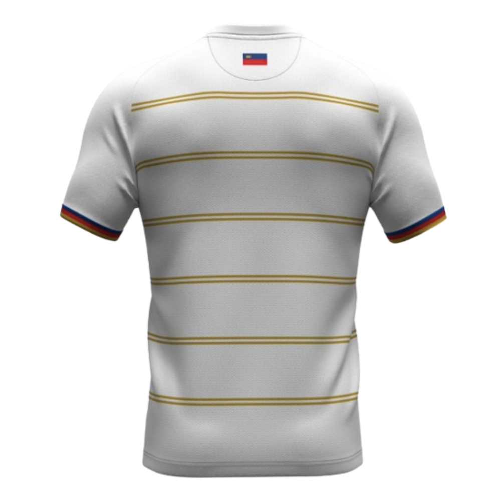 2024-2025 Liechtenstein Third Shirt