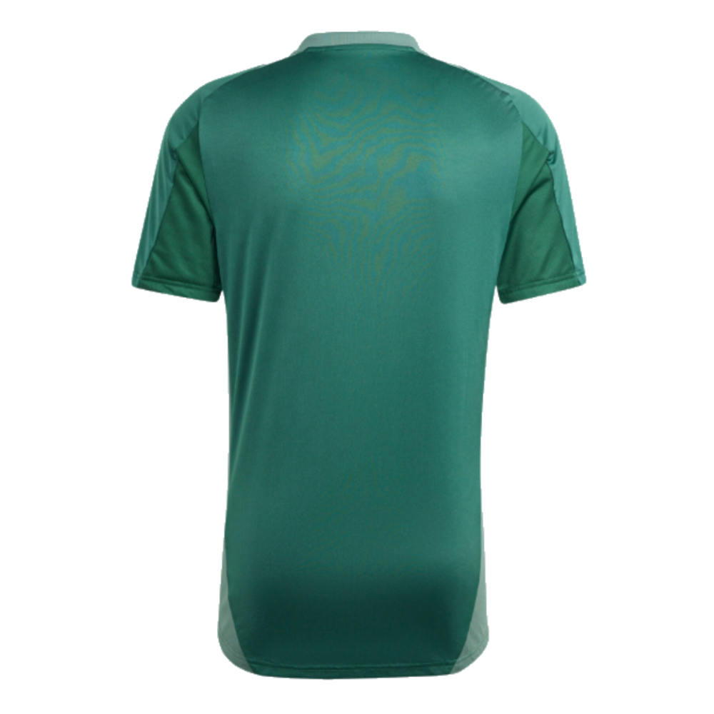 2024-2025 Algeria Training Jersey (Green)