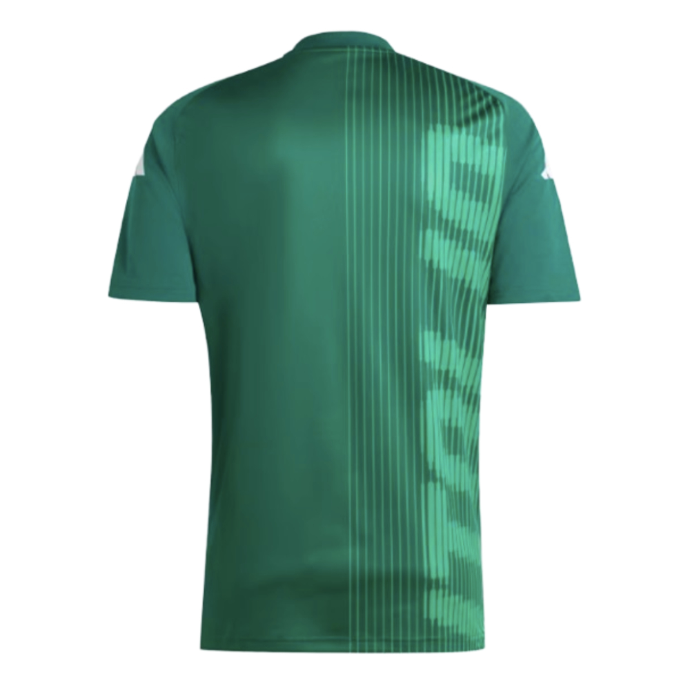 2024-2025 Italy Pre-Match Shirt (Green) (R.BAGGIO 10)