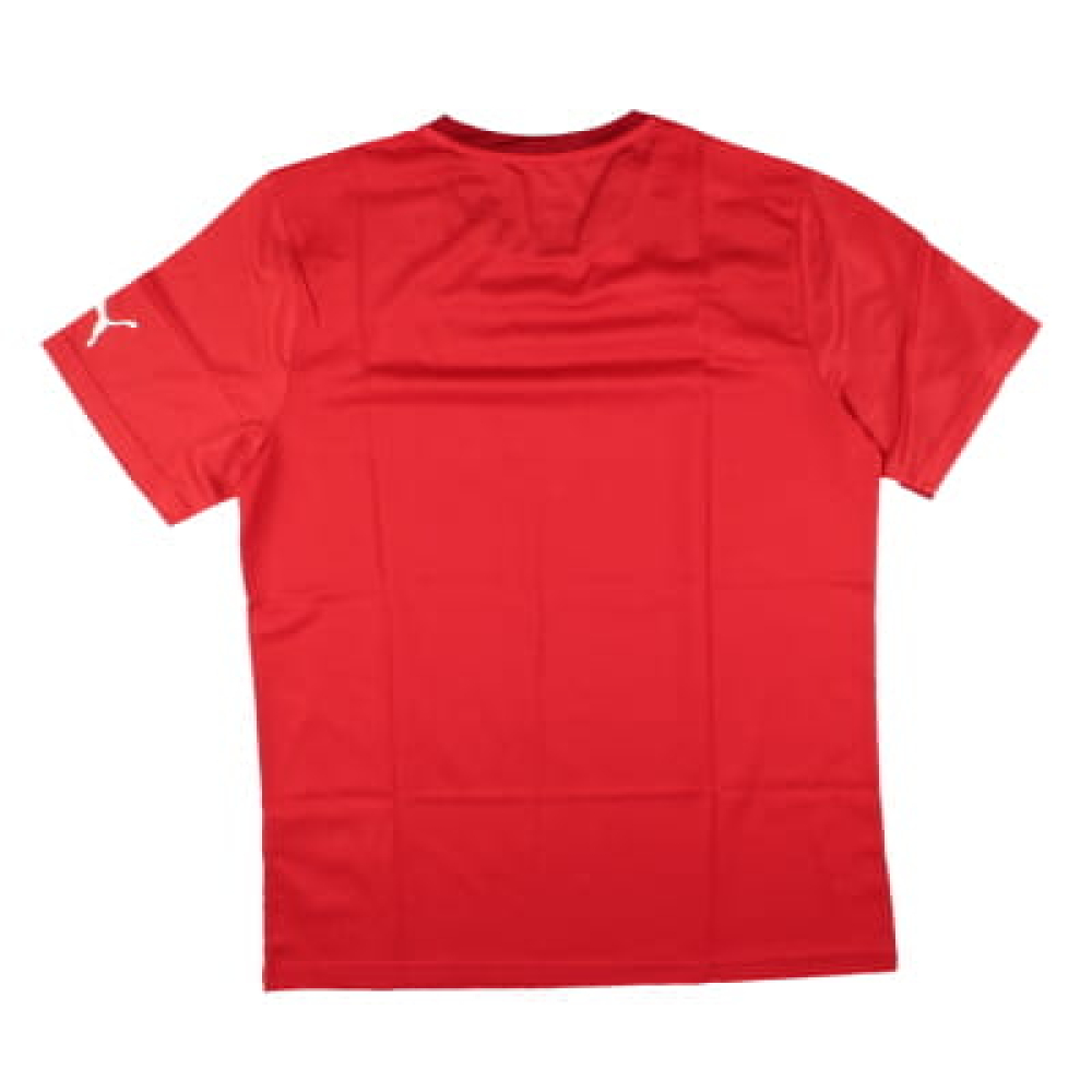 Puma Training Tee (Red)