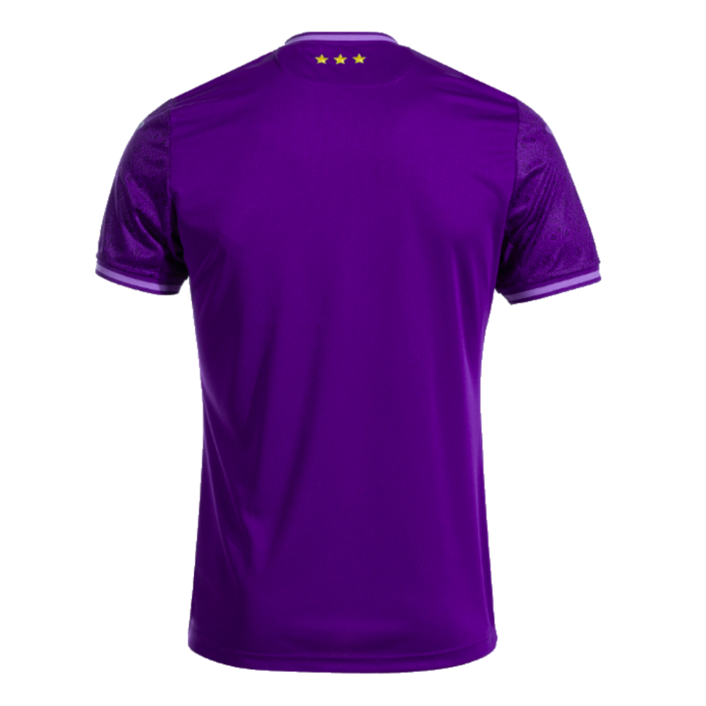 2024-2025 Anderlecht Home Shirt