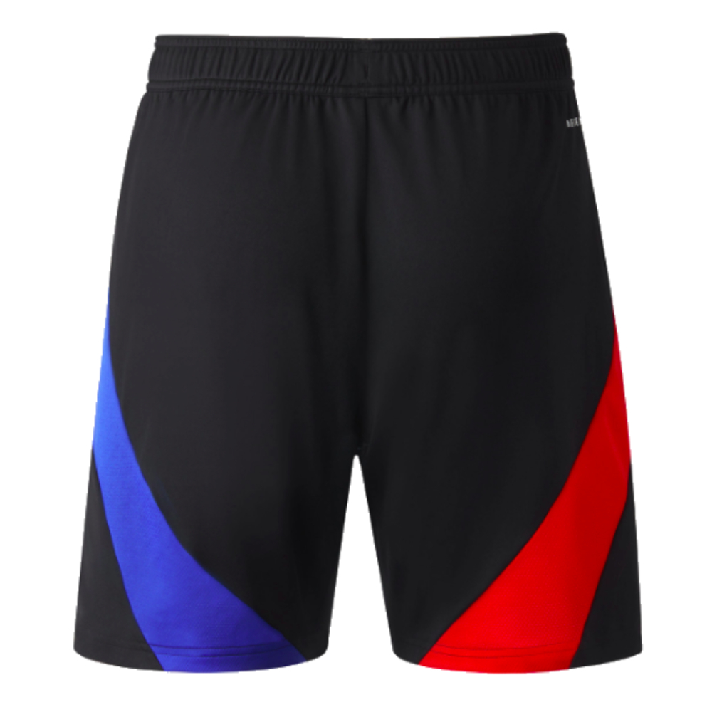 2024-2025 Olympique Lyon Away Shorts (Black)