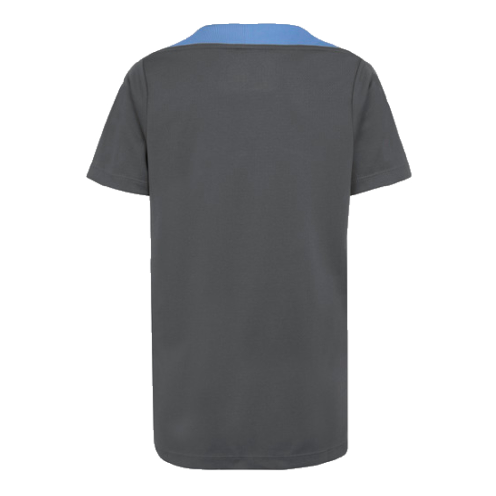 2024-2025 Tottenham Strike Dri-Fit Shirt (Dark Grey) - Kids (Lineker 10)