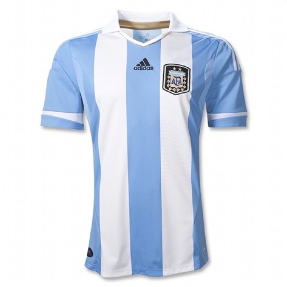 Argentina 2011-2012 Home Shirt (L) (Good) (Garay 2)