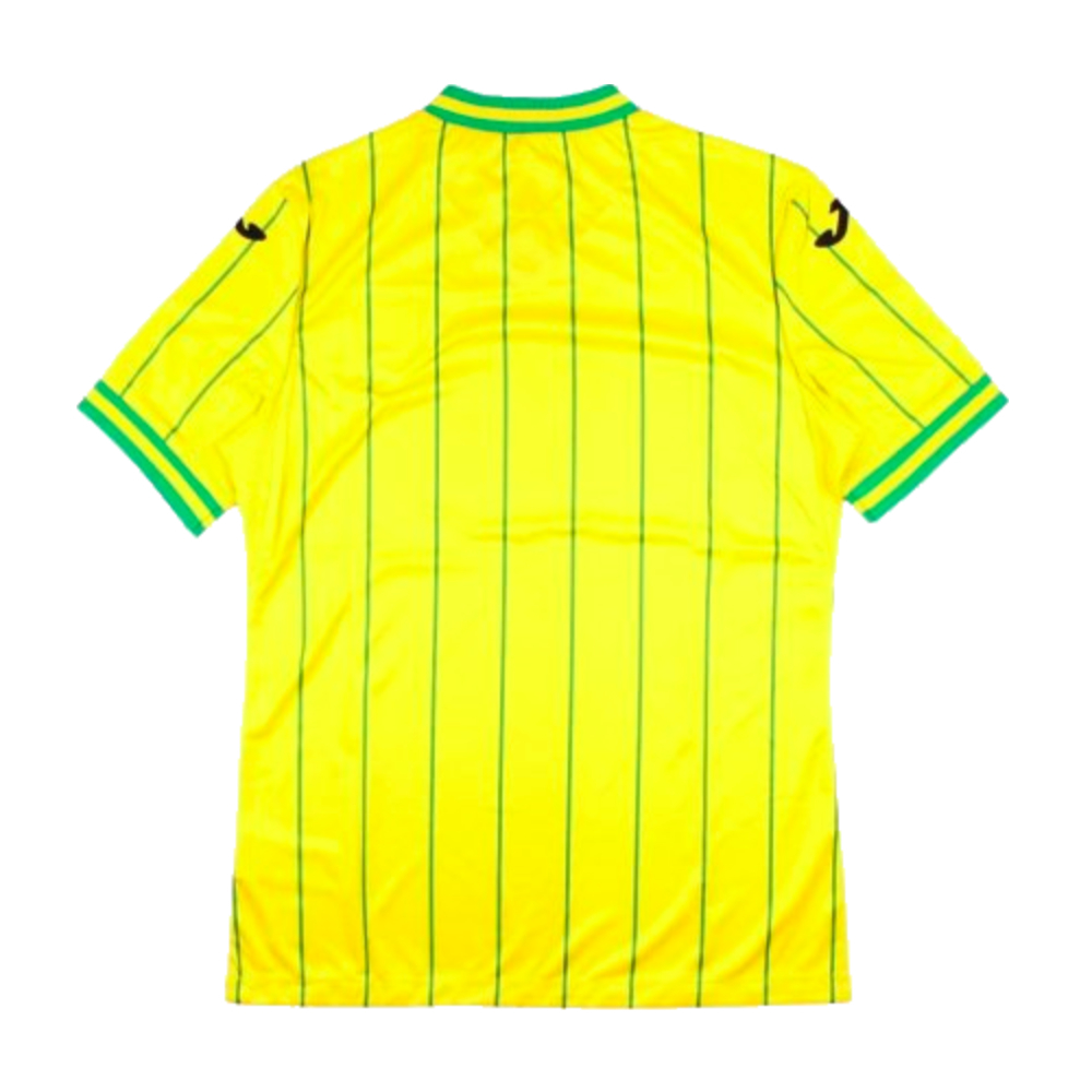 Norwich 2022-2023 Home Shirt - Sponsorless (XXL) (Mint)