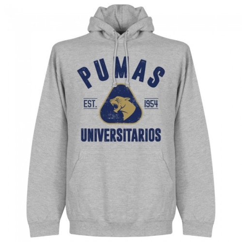 Pumas Established Hoodie - Grey Marl