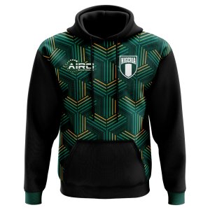 2024-2025 Nigeria Third Concept Football Hoody