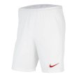 2020-2021 Turkey Nike Home Shorts (White)