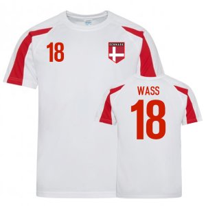 Denmark Sports Training Jersey (Wass 18)