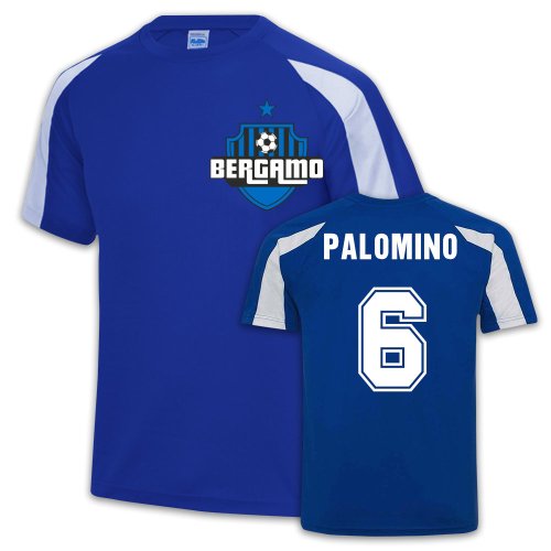 Atalanta Sports Training Jersey (Luis Palomino 6)