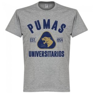 Pumas Established Kids T-shirt - Grey Marl