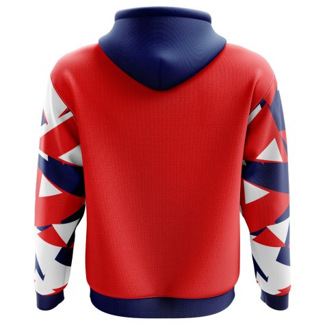 2024-2025 Norway Home Concept Football Hoody